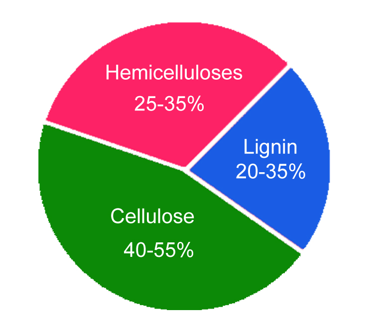 Chemical Composition of wood