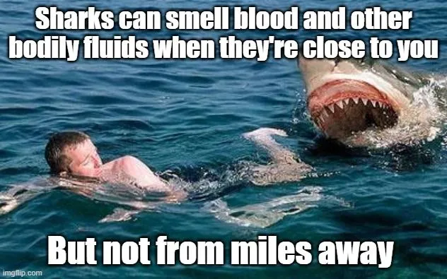 Sharks can smell blood and other bodily fluids when they're close to you meme