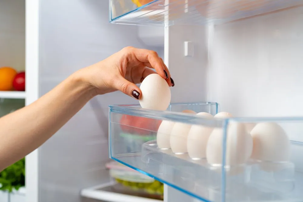 How Should You Store Your Eggs?
