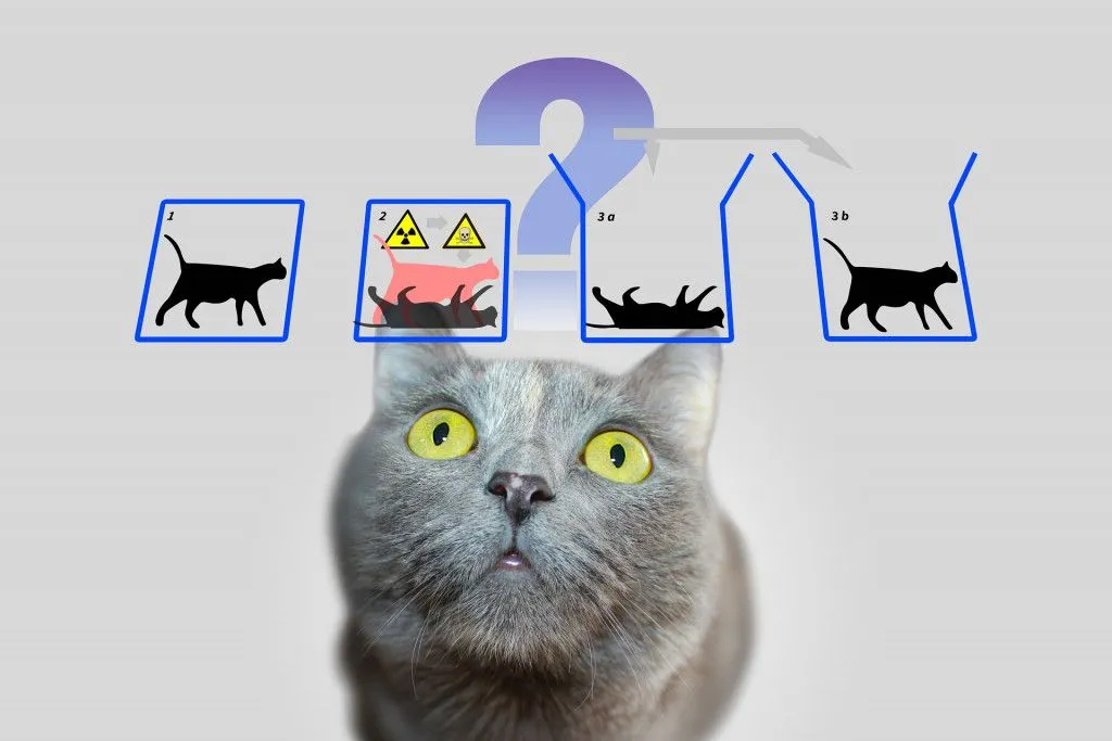 Are Quantum Effects Restricted To A Scale?