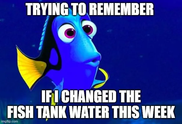 Changing the water often is bad for the fish.