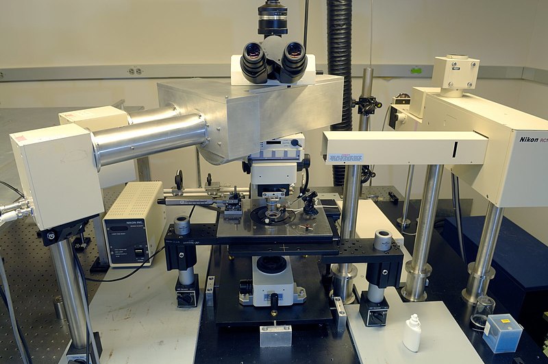 Custom Nikon RCM8000 Real-Time Confocal-Multi-Photon Microscope - CRBS