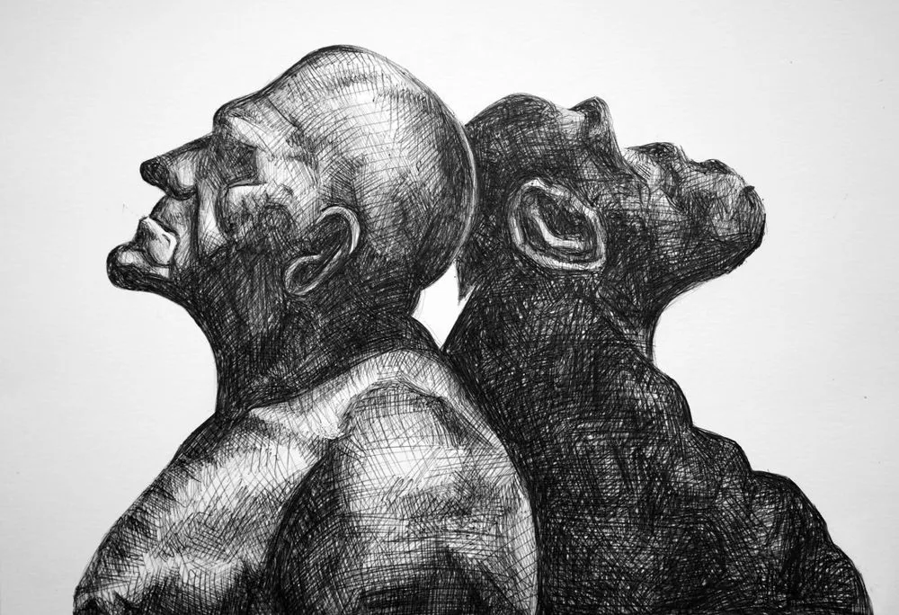 Why Is It That Apes Can't Speak But Humans Can?