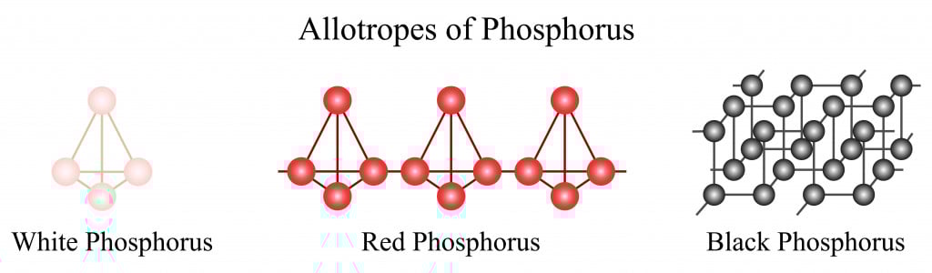 Illustration of chemical. The three main allotropes of phosphorus include the white phosphorus, red phosphorus and black phosphorus.