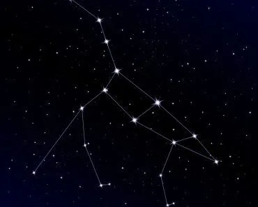 The Great Bear. Vector Illustration of Ursa Major. Digital background