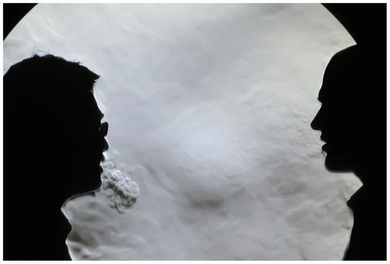 Two subjects in position in front of the schlieren mirror
