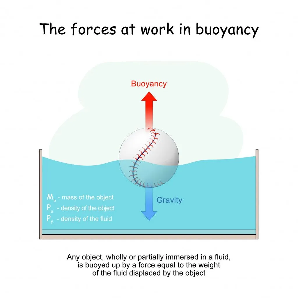 forces-work-buoyancy-gravity-archimedes-principle