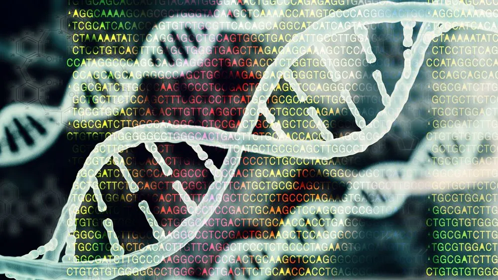 The Human Genome Project: Why It Took Two Decades To Sequence The Last 8% Of Our DNA