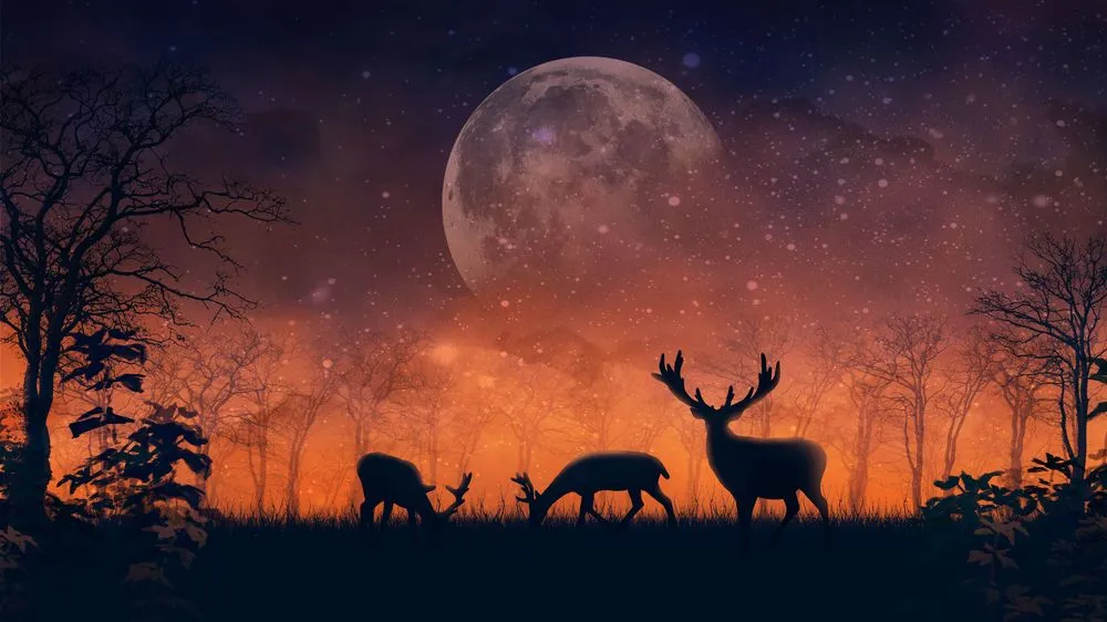 Does The Moon Control The Way Animals Behave?