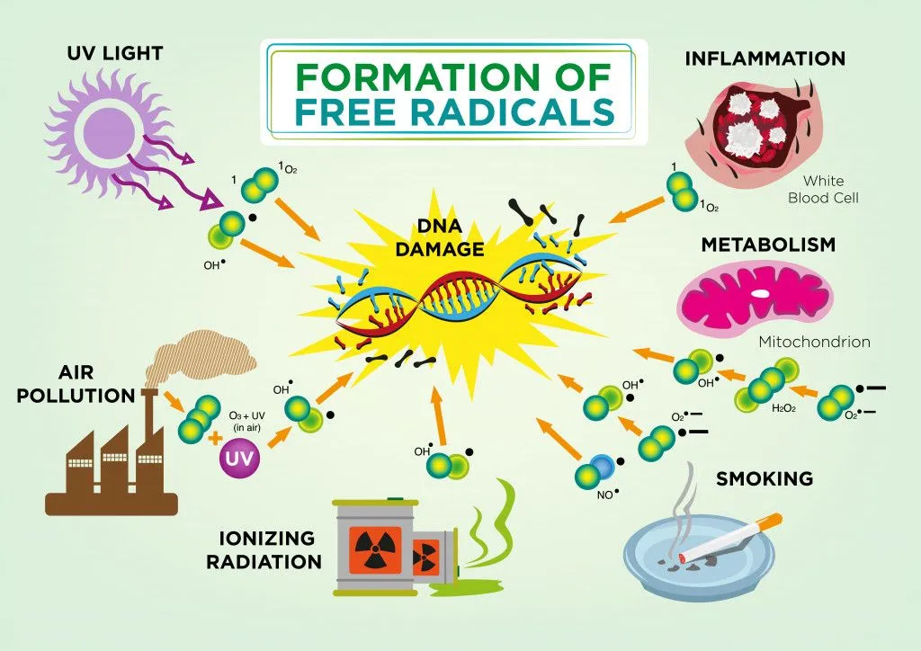 Formation of Free Radicals Diagram Concept. Editable Clip Art.