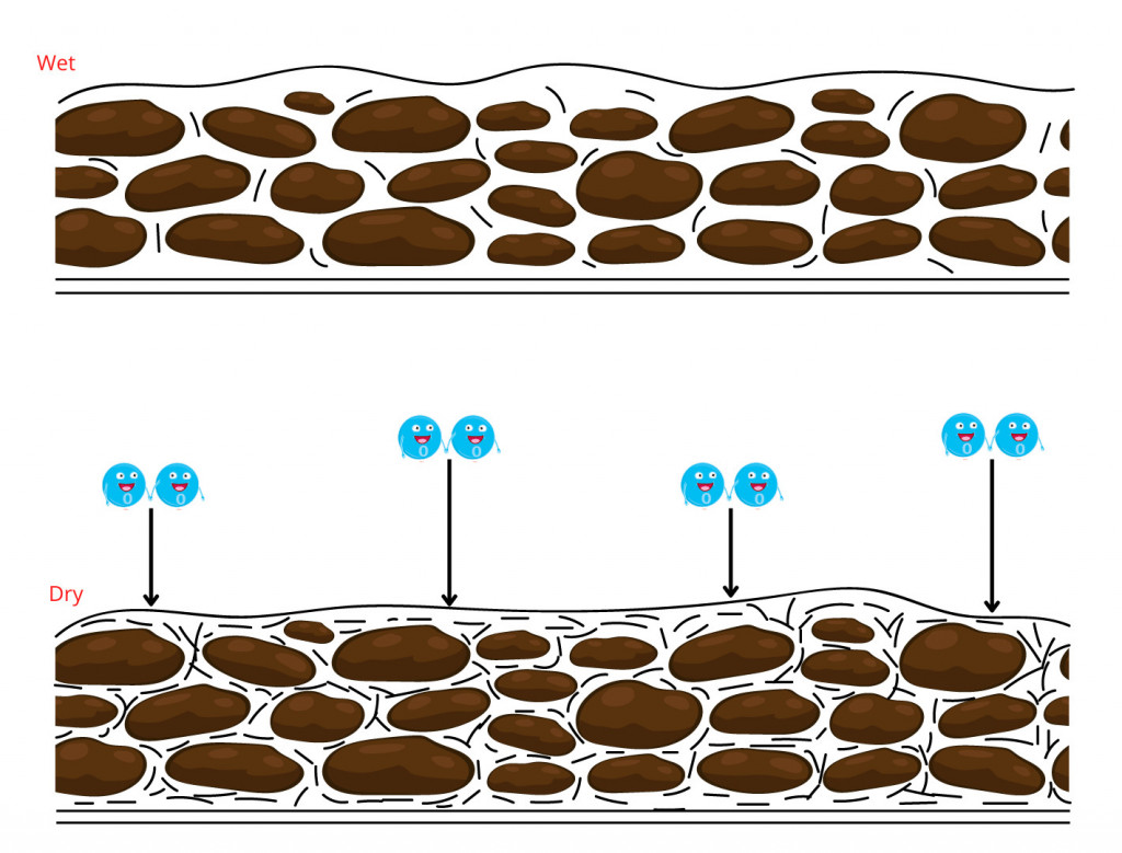 Solidification of oil paint