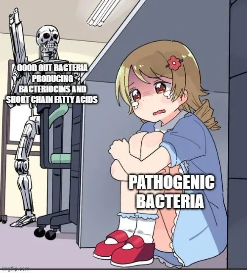 These are the direct ways commensal gut bacteria fight the pathogenic ones.