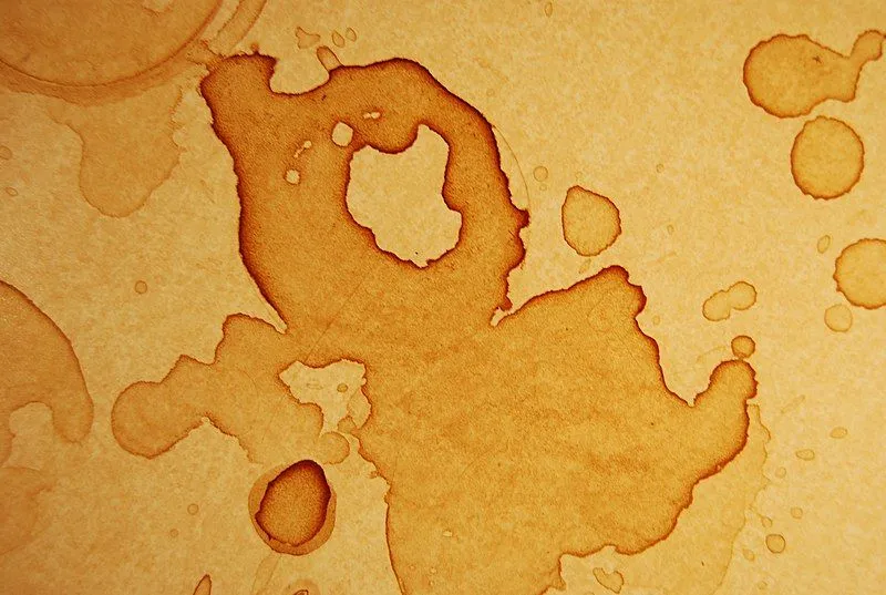 Why Are Coffee Stains Darker Along The Edges?
