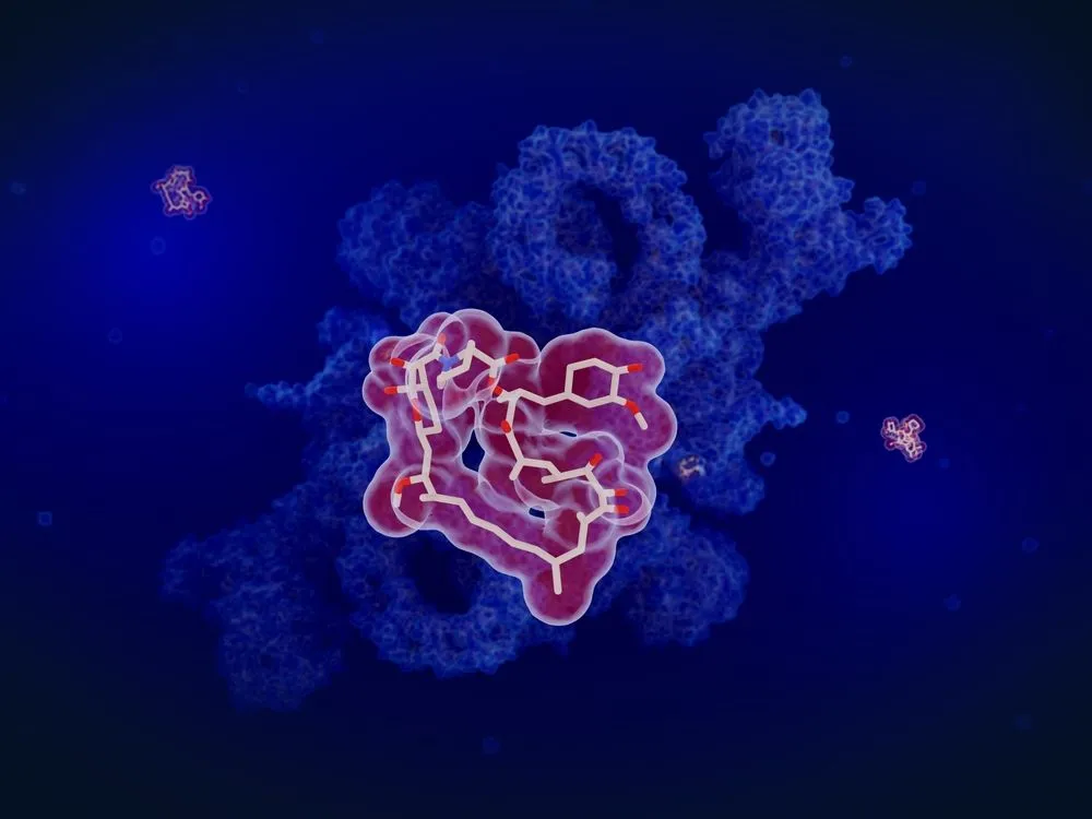 How Was The Miracle Drug Rapamycin Discovered?