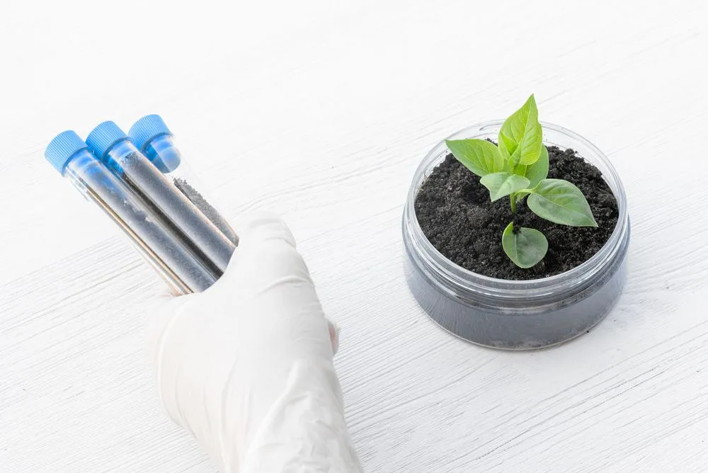 Samples,Of,Different,Types,Of,Soil,In,Test,Tube,And