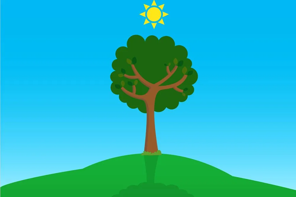 What Is The 'Zero Shadow Day'?