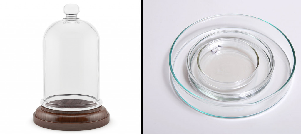 The bell jar and plate of Koch's bacterial growth technique