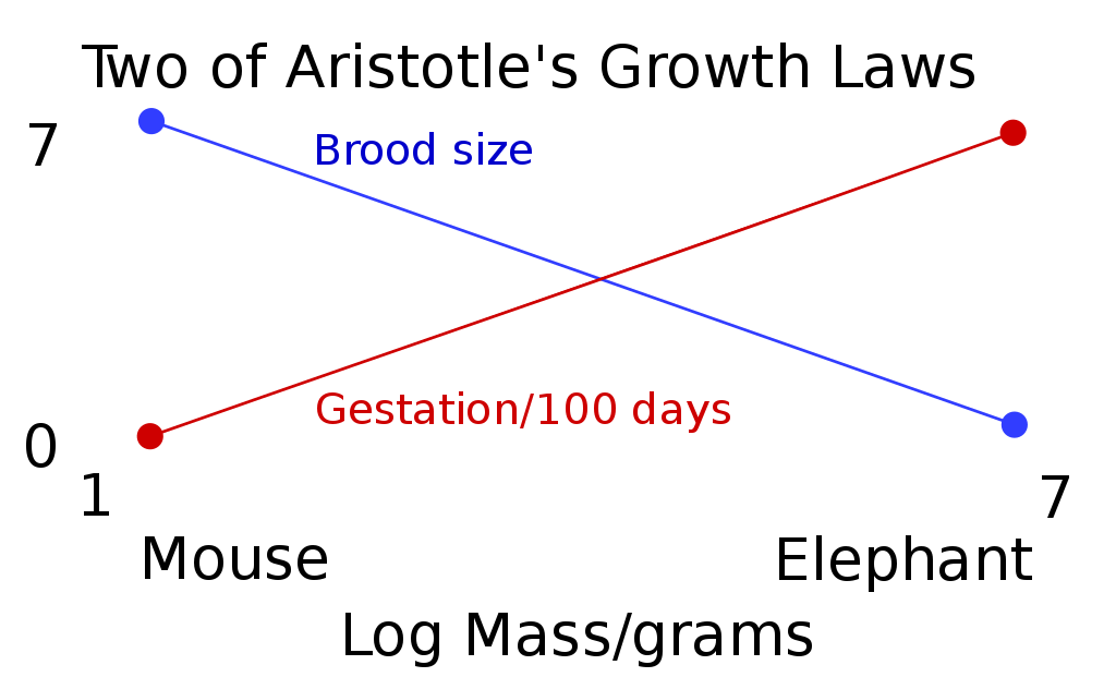 Two of Aristotle's Growth Laws