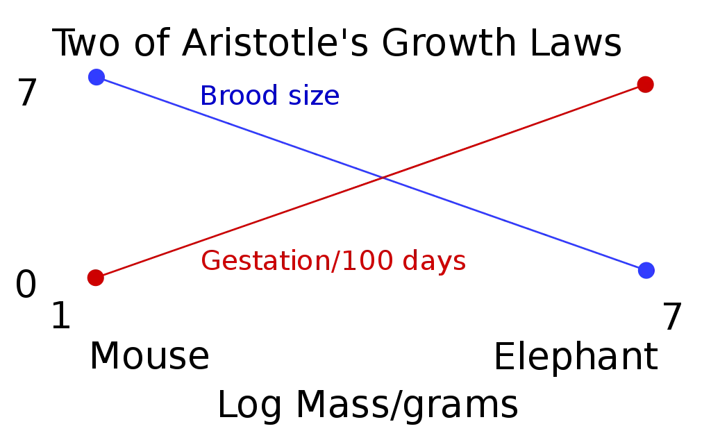 Two of Aristotle's Growth Laws