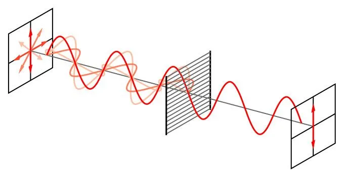 Wire-grid-polarizer