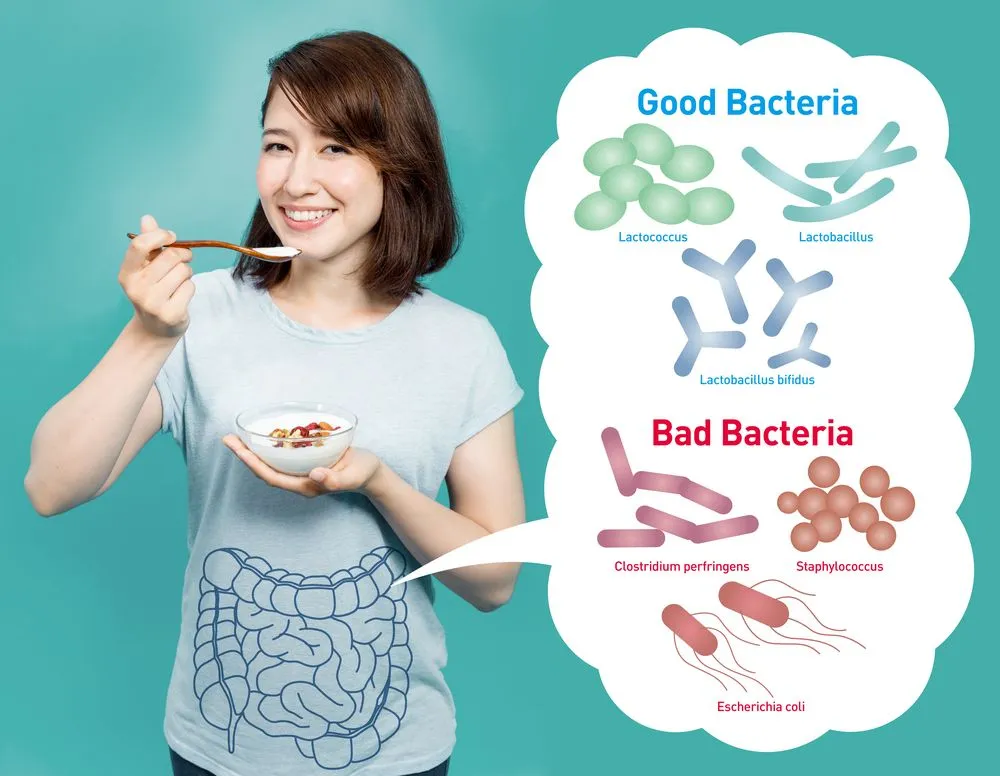 Young,Woman,Who,Eats,Yogurt,,Good,Bacteria,And,Bad,Bacteria,