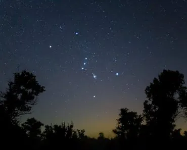 Closeup,Orion,Constellation,On,Night,Starry,Sky,Above,Forest,Silhouette,