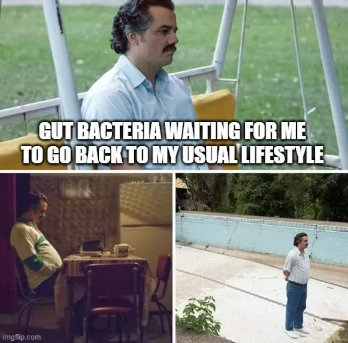 My gut bacteria waiting for the trip to end.