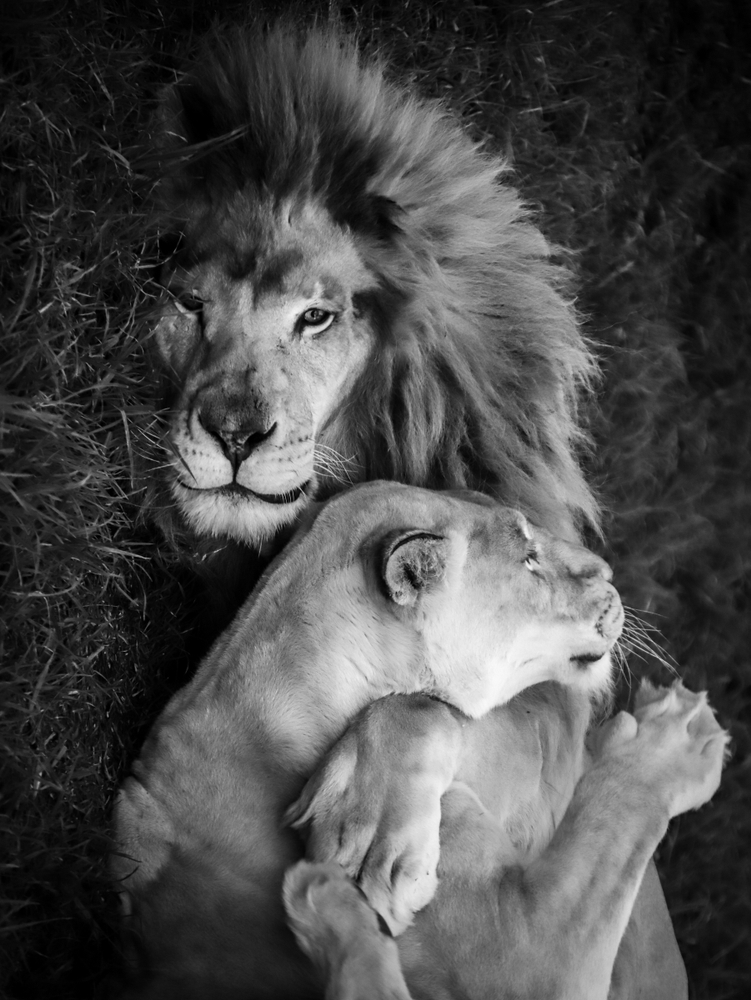 And,Then,Suddenly,He,Pulls,Her,To,Him,And,Hugs