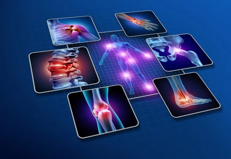 What Are The Different Types Of Joints In Our Body?