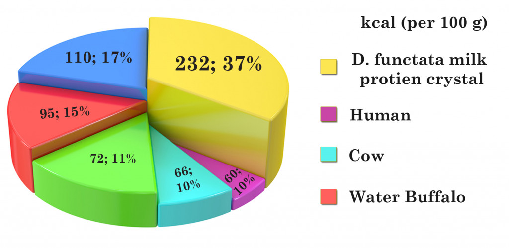 Calorific value of cockroach milk protein