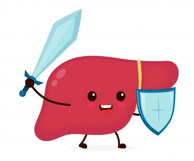 How Old Is Your Liver?