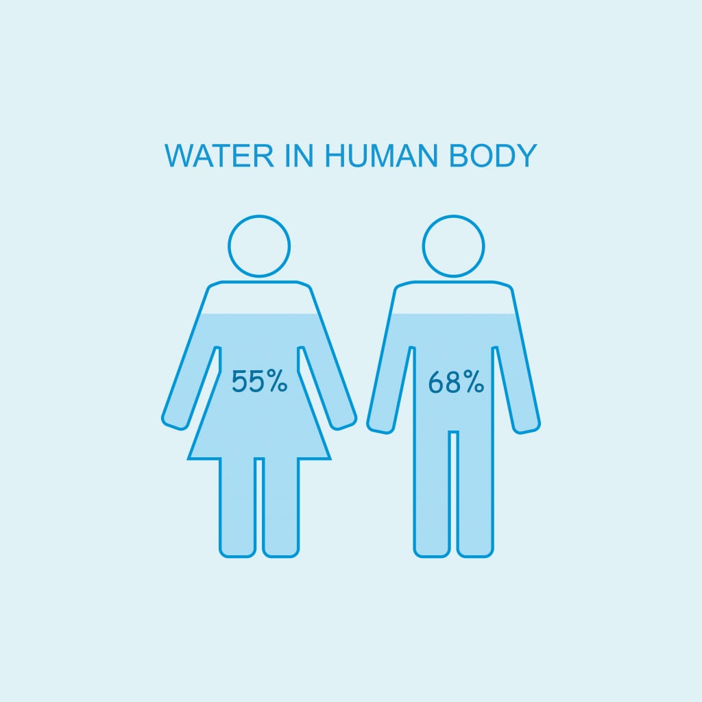 Water in human body