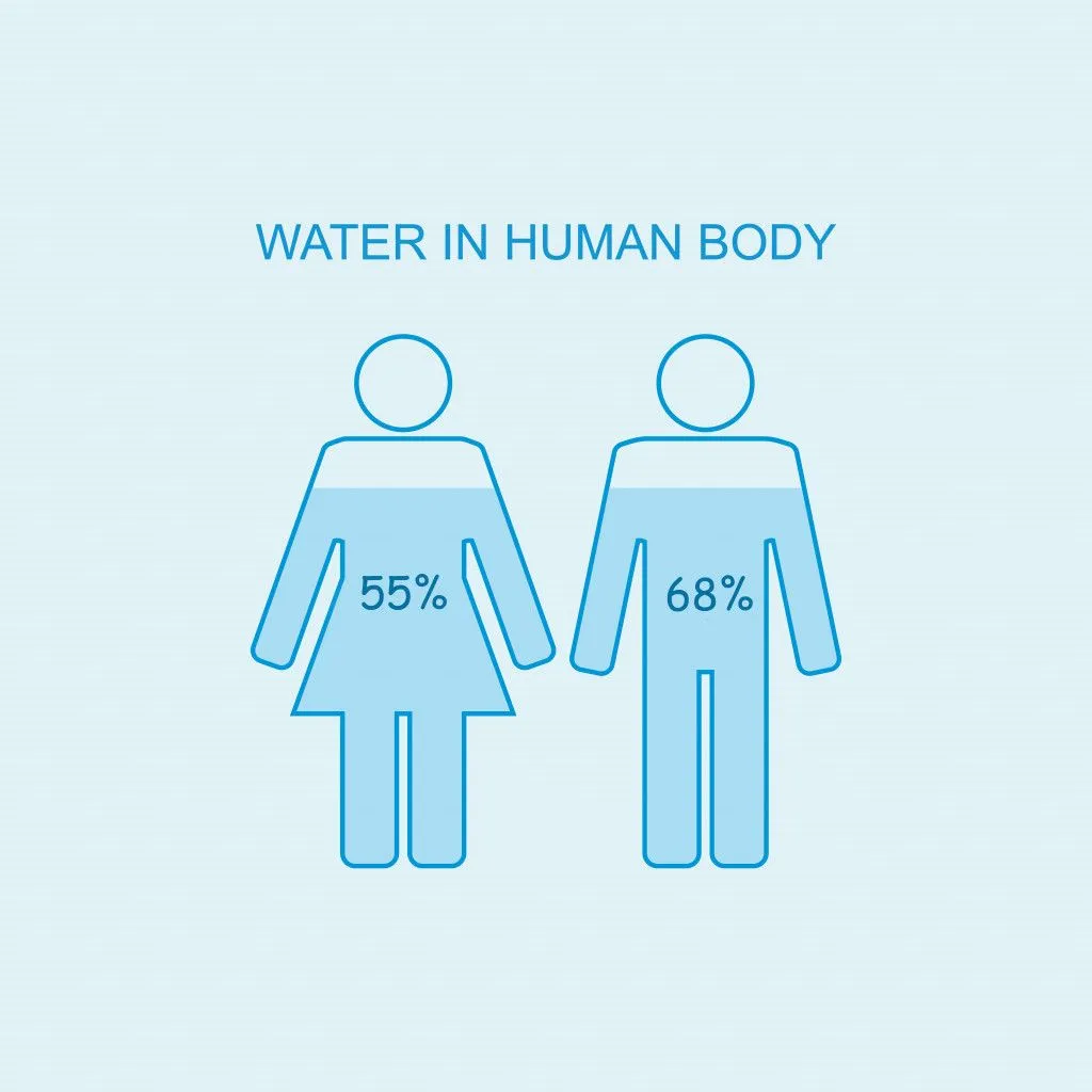 Water in human body