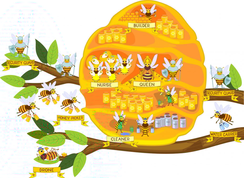 Yellow cartoon beehive on tree branch and honey bee family isolated on white background