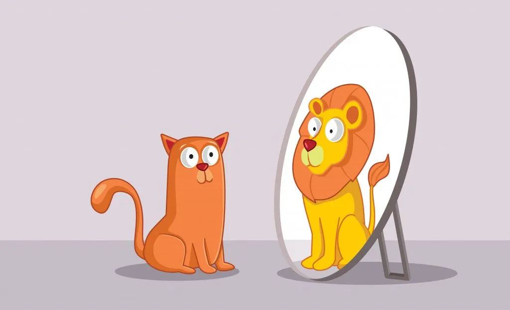 Can Animals Recognize Themselves In The Mirror?