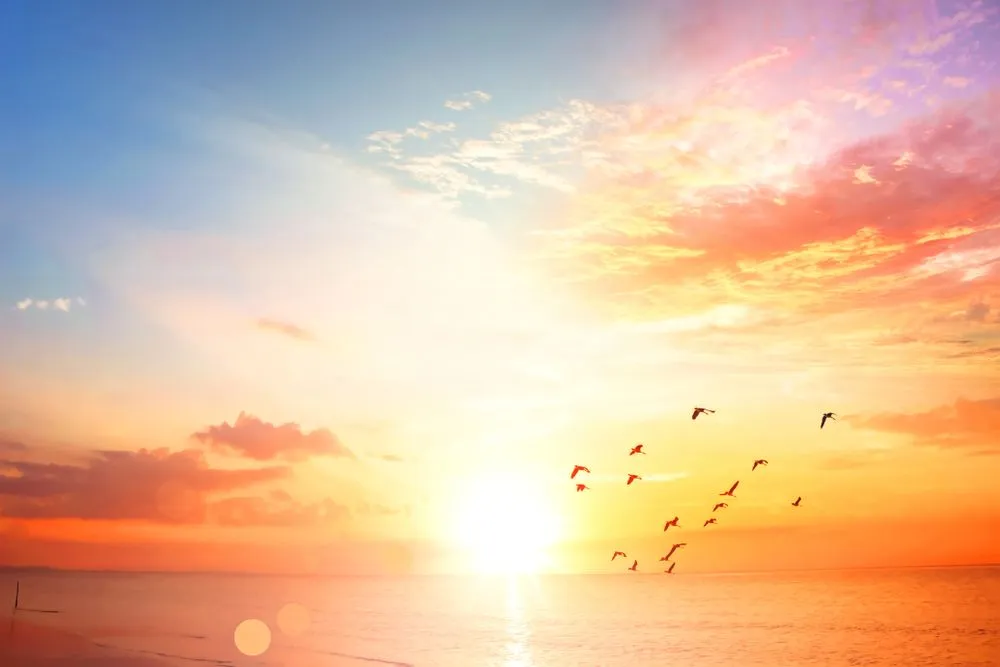 Why Do Different Places On Earth Have Different Sunrise And Sunset Times?