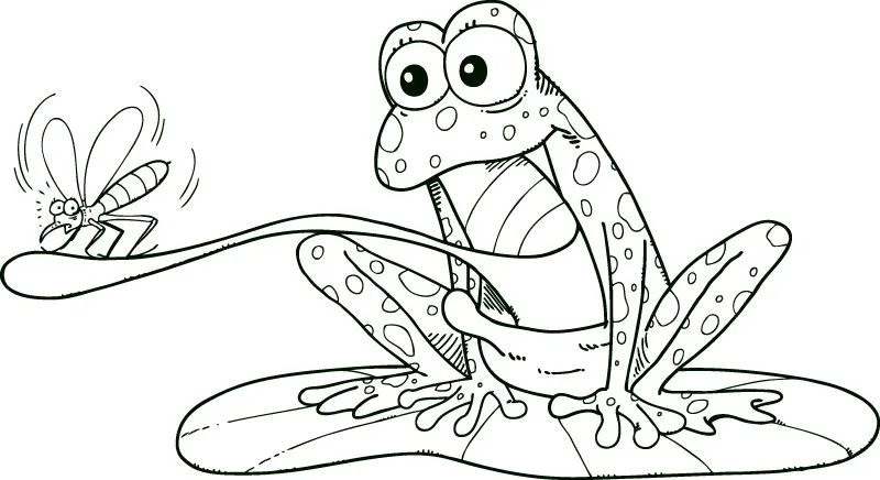 Frog,With,Insect,In,Tongue