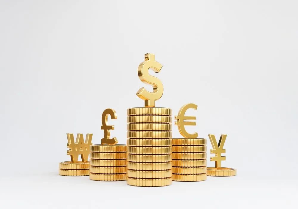 Why Doesn’t The Entire World Have Just One Currency?