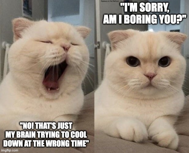 MY BRAIN TRYING TO COOL DOWN AT THE WRONG TIME meme
