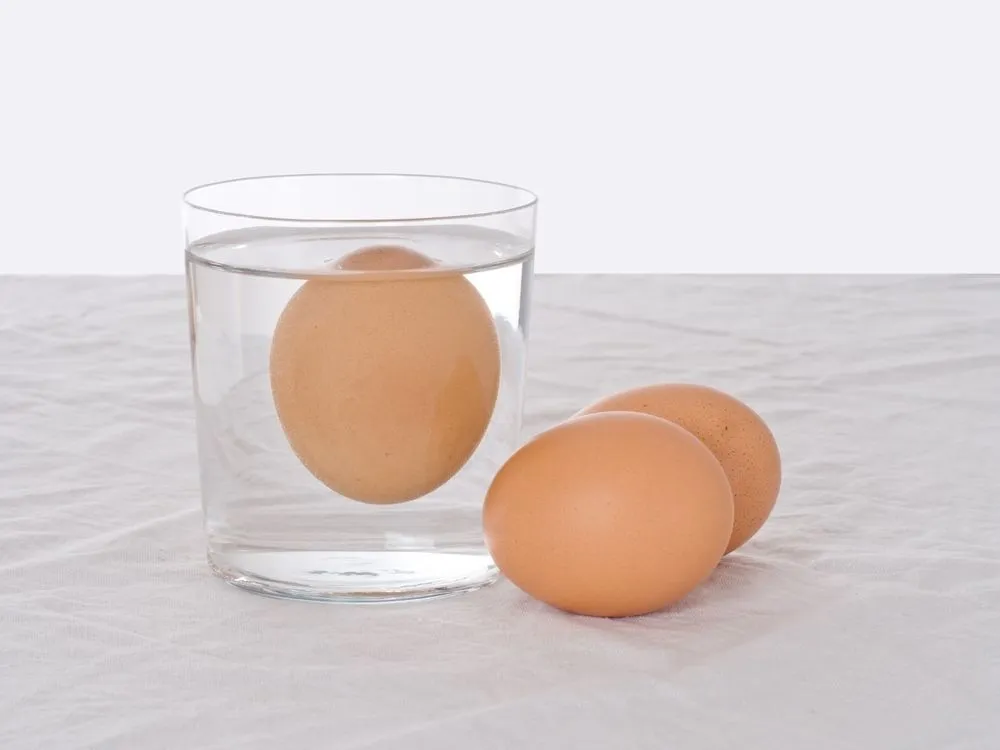 Why Do Old Eggs Float?