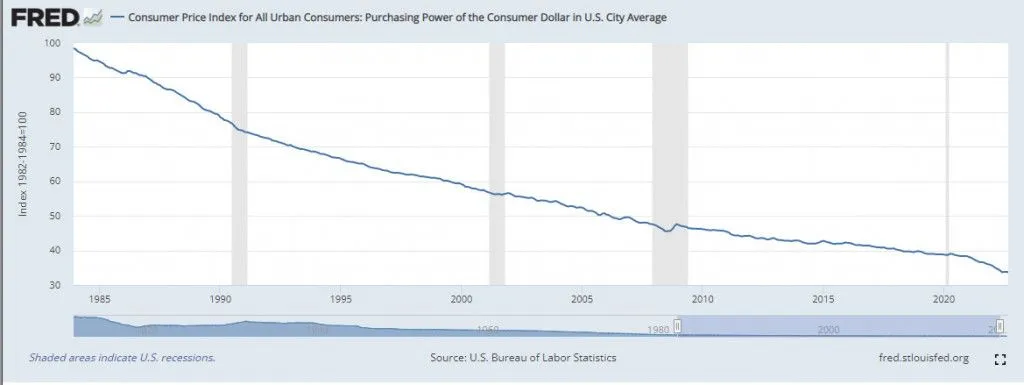 The severe effect of inflation on $1 over the years. Notice the declining value of 1 dollar.