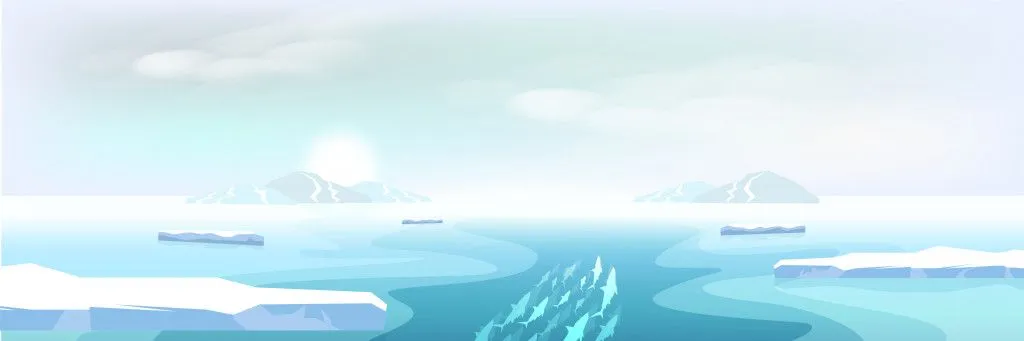 Why Do Fish At The South Pole Not Freeze To Death?