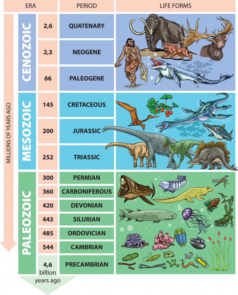 Illustration of geological time scale - periods.