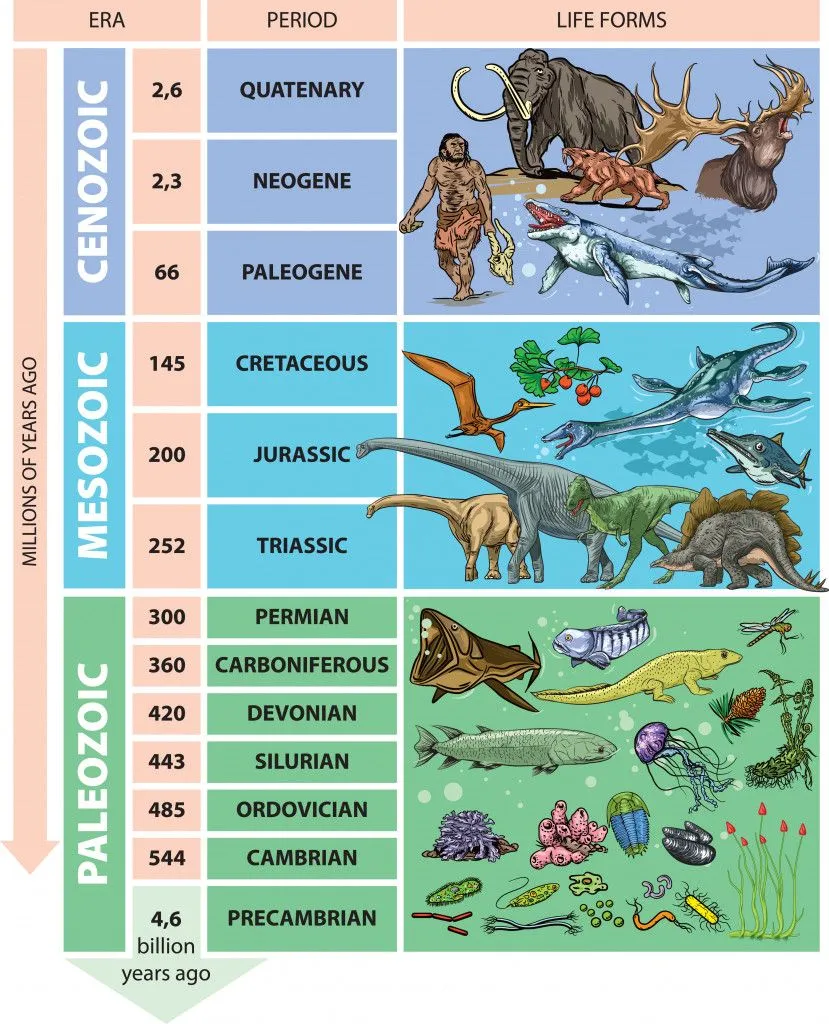 Illustration of geological time scale - periods.