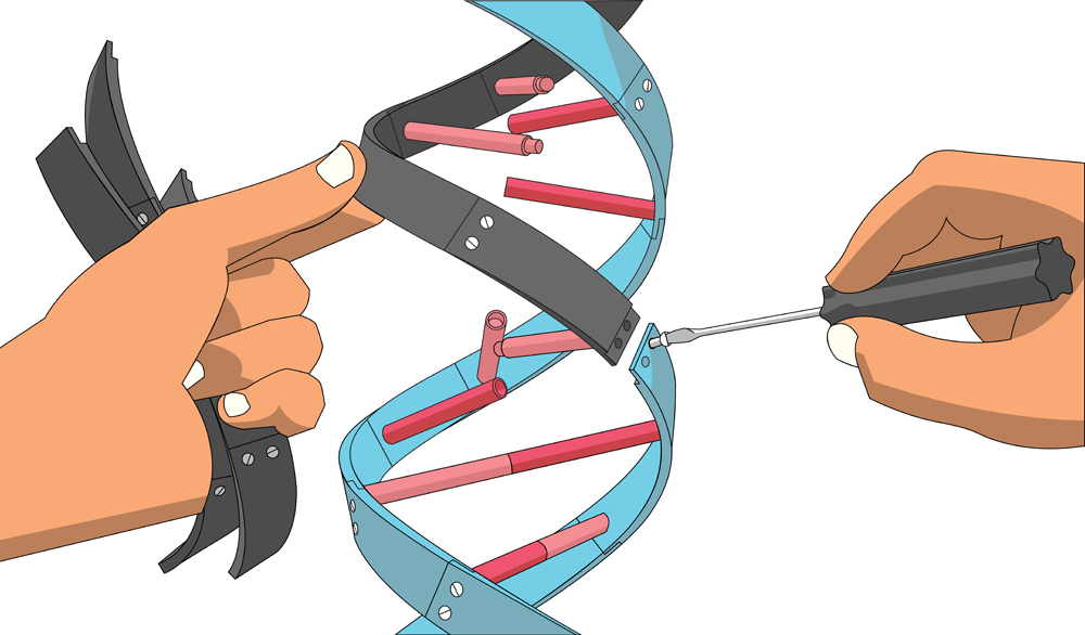 Manual genetic engineering. Substitution of DNA with bare hands and an ordinary screwdriver. Vector on a white background