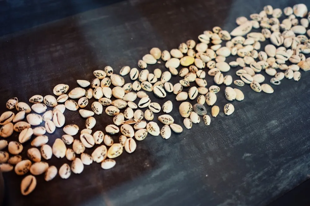 Monetaria,Moneta,,Common,Name,The,Money,Cowry,Is,A,Medium