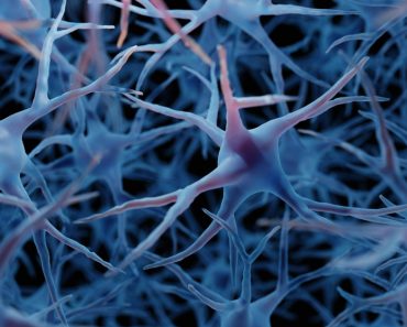 Brain,Cells,,Neurons,In,Human,Brain,,Medically,Accurate,3d,Illustration