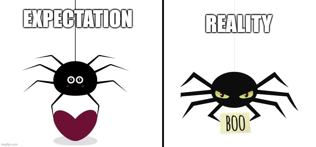 expectation vs reality