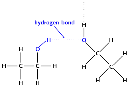Hydrogen bonds