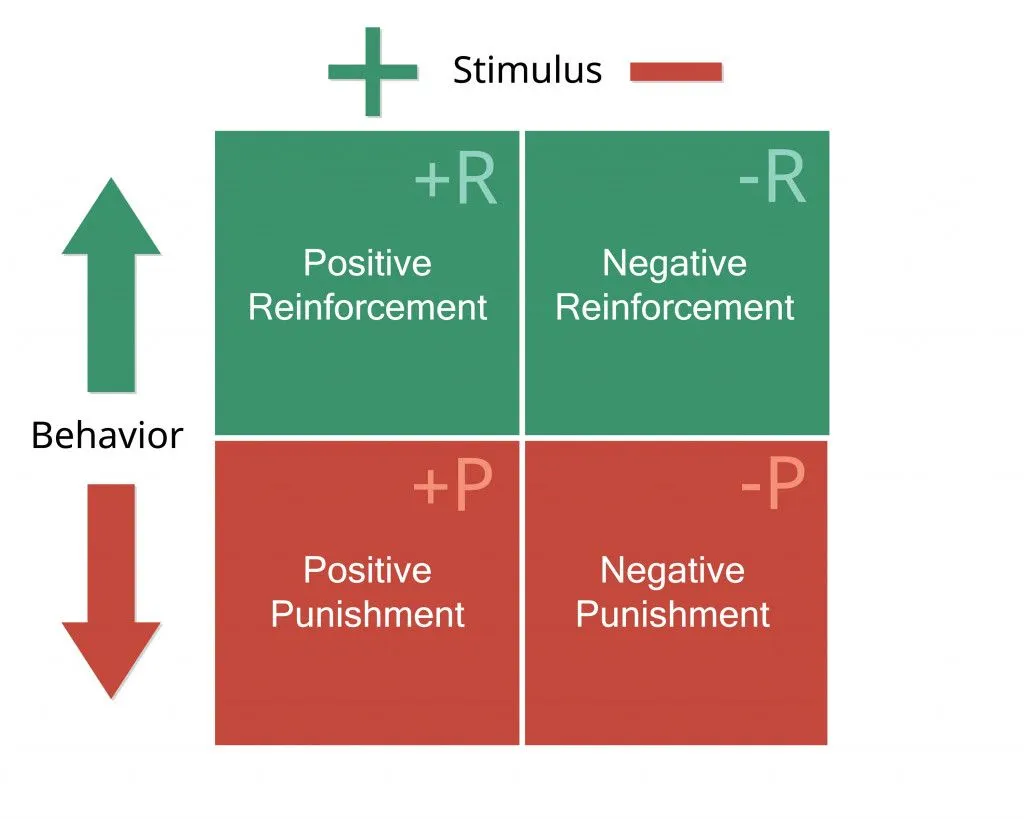 The Psychology of Positive Reinforcement Theory
